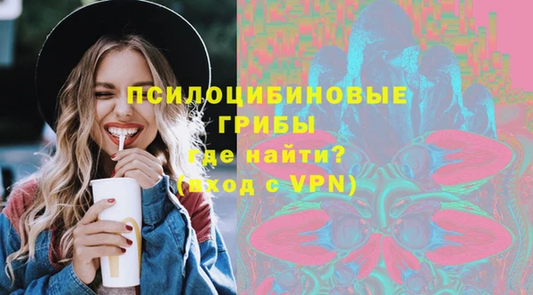 соль ск Верхний Тагил