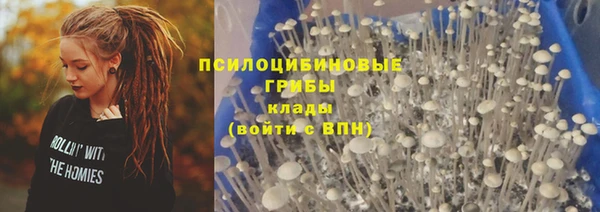 соль ск Верхний Тагил