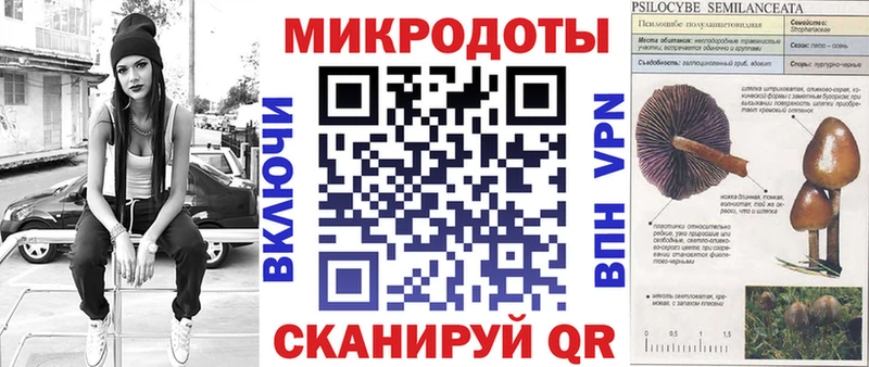 Купить  Асбест  Галлюциногенные грибы Psilocybe 